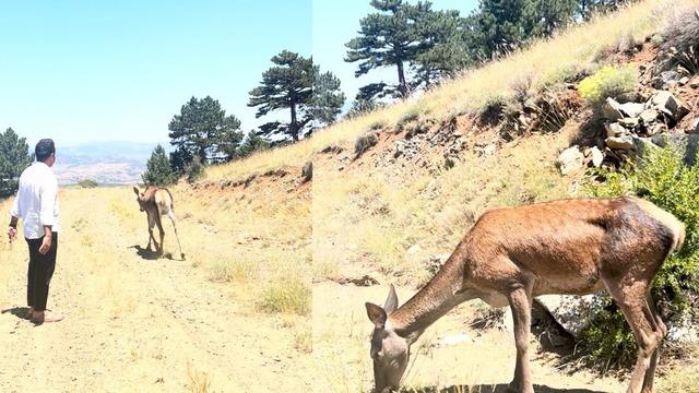 Salda Gölü çevresine bırakıldı! Gören hemen telefonuna sarıldı