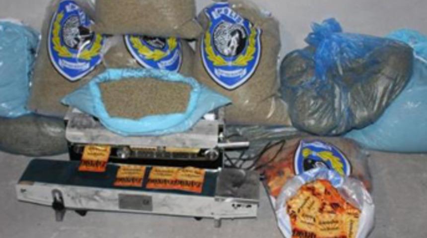 Rekor miktarda Bonzai ele geçirildi