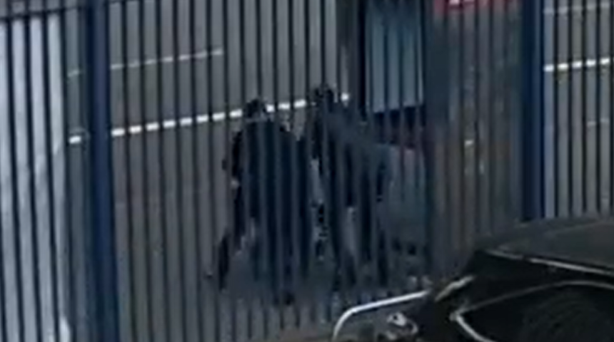 Ebeveynleri tedirgin eden olay! Güpegündüz sokak ortasında 12 yaşındaki çocuğu ve yeni yürümeye başlayan kardeşini kaçırmaya çalıştı