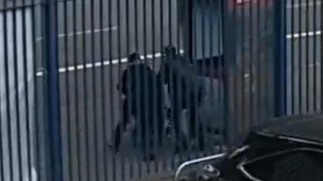 Ebeveynleri tedirgin eden olay! Güpegündüz sokak ortasında 12 yaşındaki çocuğu ve yeni yürümeye başlayan kardeşini kaçırmaya çalıştı