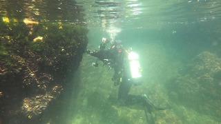 2021'i işaret edip 'Tekrarı kesin' diyerek uyardı! Yeni tehlike kapıda 'Kılıç gibi sallanmaya devam edecek'  