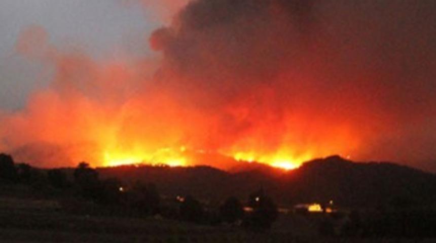 Türkiye-Suriye sınırında orman yangını