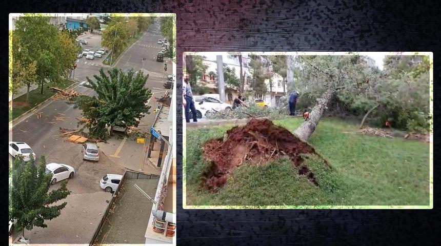 Yer: Gaziantep! Şiddetli rüzgar ağaçları kökünden söktü... Çatıları uçurdu