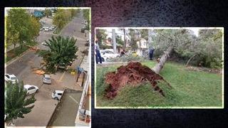 Yer: Gaziantep! Şiddetli rüzgar ağaçları kökünden söktü... Çatıları uçurdu