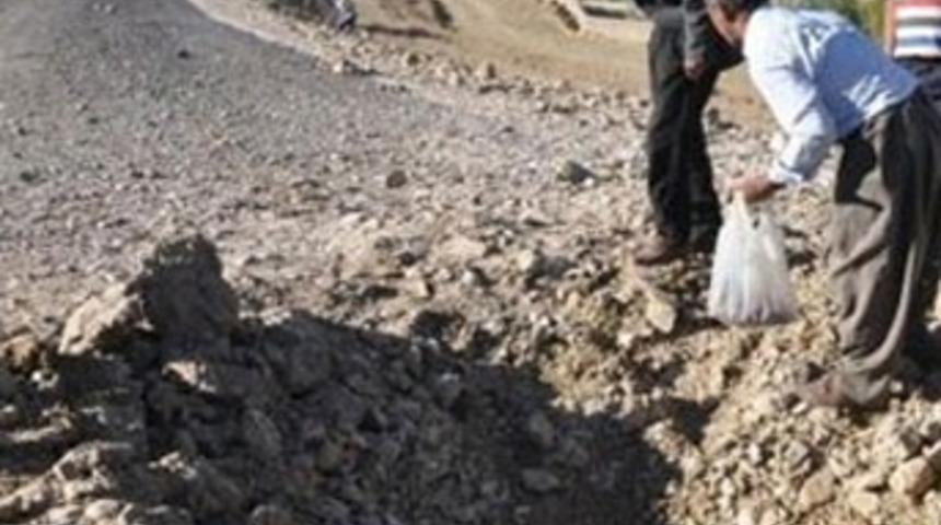 Hainlerin bomba ellerinde patladı