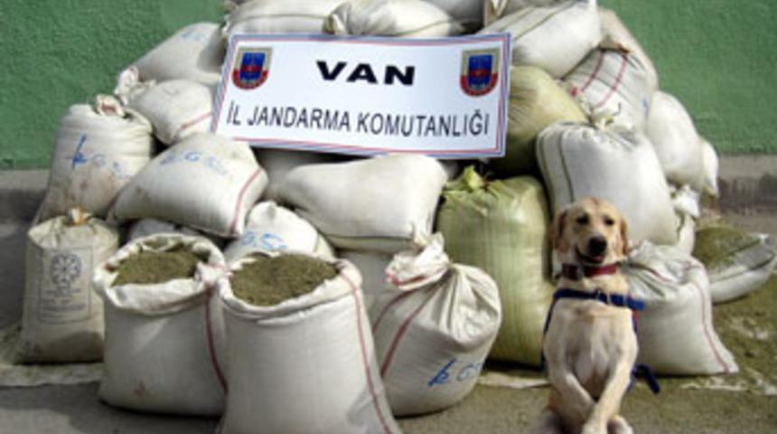 Van'da 5 ton uyuşturucu ele geçirildi!