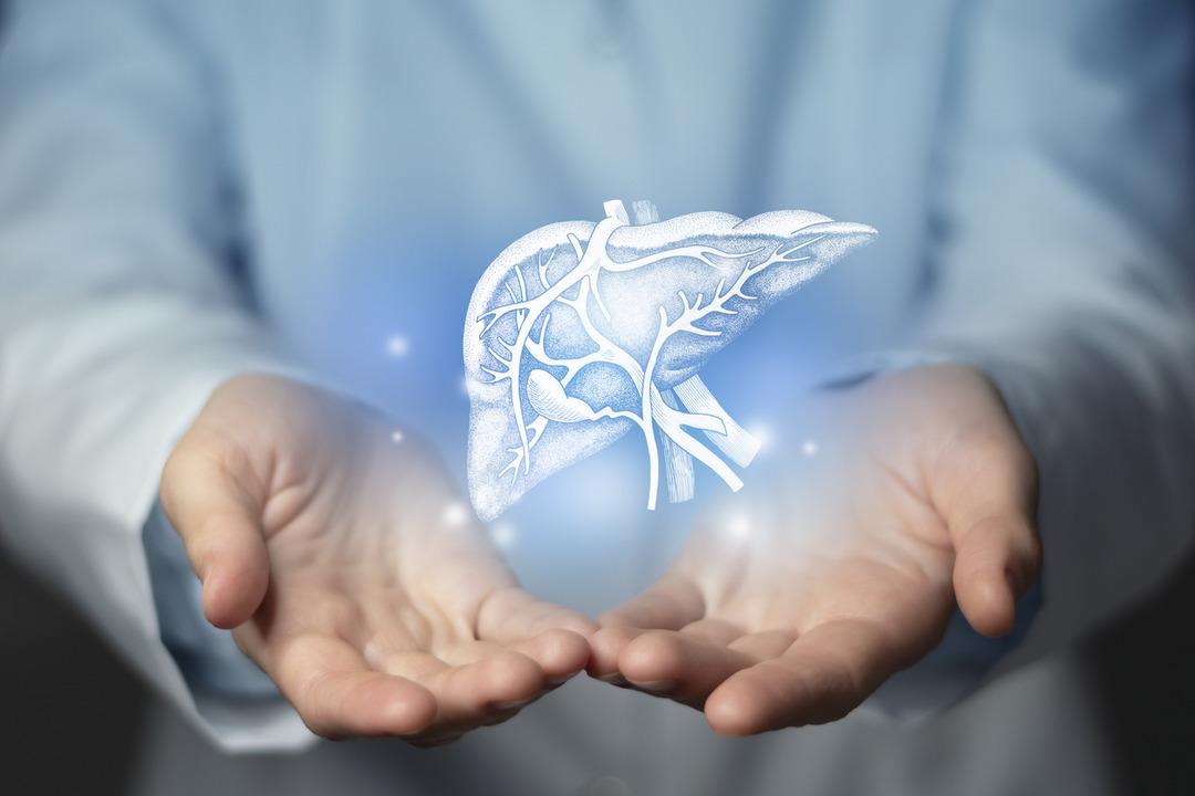 Karaciğer dostu 10 besin: Faydalarını duyan markete koşuyor!