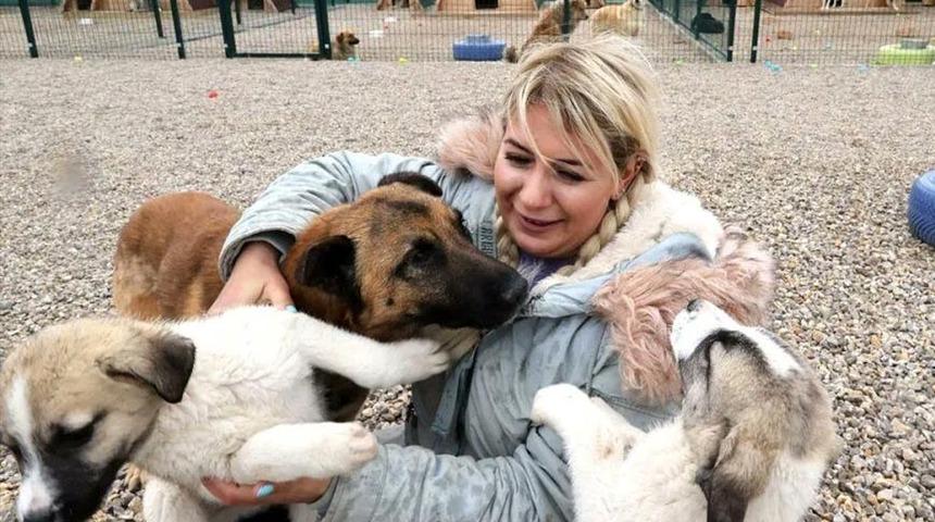 Hasta köpeklerin Ankara'ya taşınması davasında tahliye!