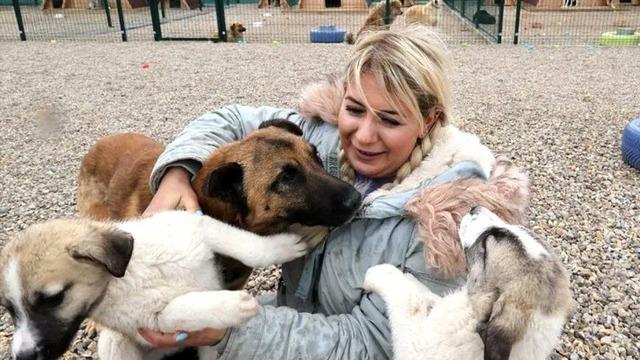 Hasta köpeklerin Ankara'ya taşınması davasında tahliye!