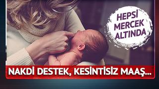 Nakdi destek, kesintisiz maaş... Doğuma teşvik için hepsi mercek altında! Doğurganlıkta 'Türkiye' uyarlaması
