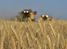 TMO duyurdu: Ödemeler üreticilerin hesaplarında