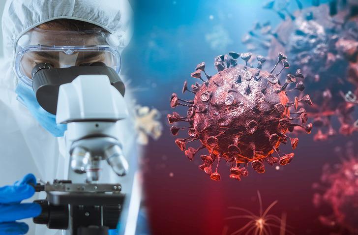Koronavirüsün ardından yeni hastalık uyarısı! 26 ülkede görüldü, M çiçeği virüsü vakalarında artış yaşanıyor