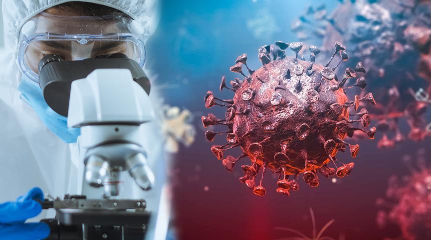 Koronavirüsün ardından yeni hastalık uyarısı! 26 ülkede görüldü, M çiçeği virüsü vakalarında artış yaşanıyor