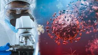 Koronavirüsün ardından yeni hastalık uyarısı! 26 ülkede görüldü, M çiçeği virüsü vakalarında artış yaşanıyor