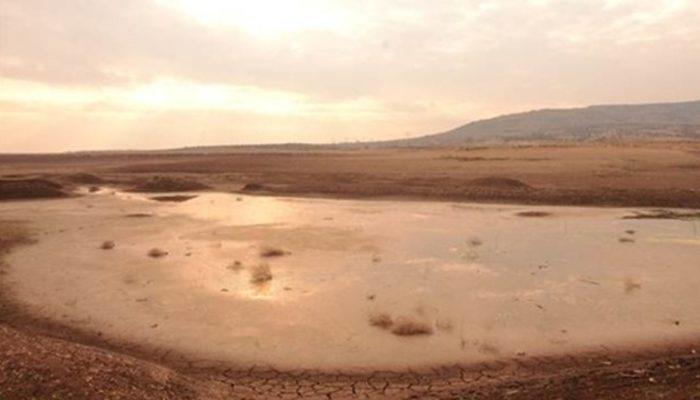 Kuraklık gölleri kuruttu! Antep fıstığı tehlike altında