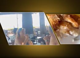 Antalya'daki 5 yıldızlı otelde mide bulandıran görüntü! Açık büfeden aldığı yemekten kurt çıktı