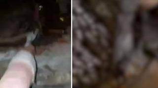 Skandal görüntüler! Cesedi mezardan çıkartıp kıyafet giydirdiler... Dalga geçerek video çekip paylaştılar