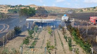 İstanbul'da korkutan dakikalar! Alevler yerleşim alanına doğru ilerledi... Panik yaşandı