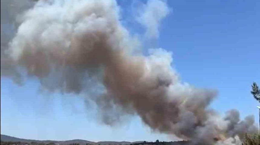 Muğla Milas'ta korkutan yangın! 