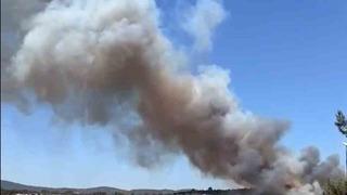 Muğla Milas'ta korkutan yangın! 