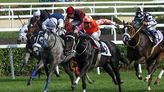 SON DAKİKA: 98'nci Gazi Koşusu'nun galibi belli oldu! Birinci gelen safkan sahibini zengin etti... İşte kazanılan ödül