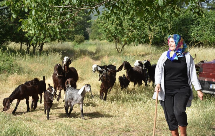 Bu iş uğruna kuaförlüğü bırakan kadın sürü sahibi oldu! Yoğun ilgi görüyor