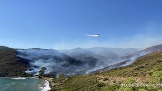 Marmaris'teki yangının sebebi belli oldu: Dikkat çeken karavan detayı! 3 kişi gözaltında 