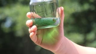 Kilosu 20 bin liradan satılıyor! Görenler gözlerine inanamadı: Bu balın rengi yeşil...