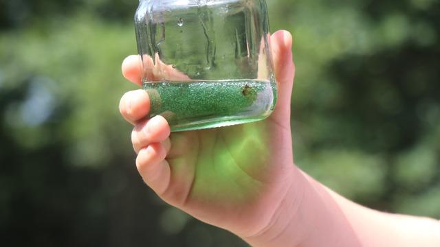 Kilosu 20 bin liradan satılıyor! Görenler gözlerine inanamadı: Bu balın rengi yeşil...