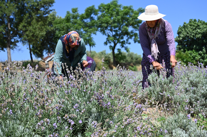 "ARAZİMİZİN İNSANLARA GELİR KAPISI OLMASINDAN MUTLUYUZ"