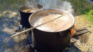 Dutun şifa yolculuğu başladı: Tunceli’de pekmez kazanları kuruldu