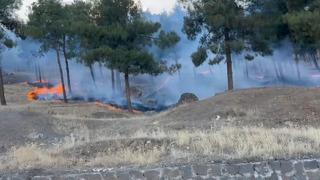 Yine bir orman yangını... Soruşturma açıldı 