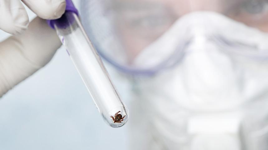 Kırım Kongo Kanamalı Ateşi nedir, belirtileri nelerdir? Kırım Kongo Kanamalı Ateşi nasıl bulaşır?