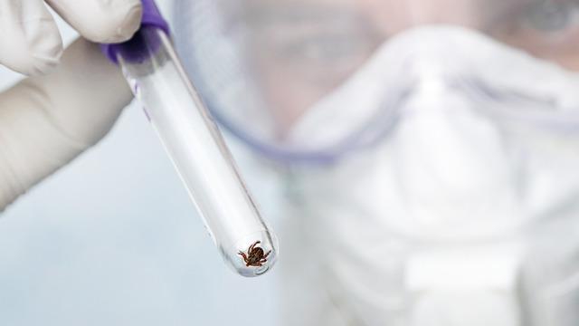 Kırım Kongo Kanamalı Ateşi nedir, belirtileri nelerdir? Kırım Kongo Kanamalı Ateşi nasıl bulaşır?