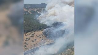 İzmir'de orman yangını!  Sabuncubeli Tünelleri trafiğe kapatıldı
