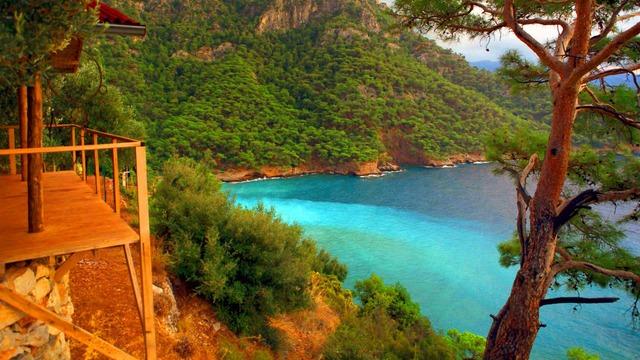 kabak koyu