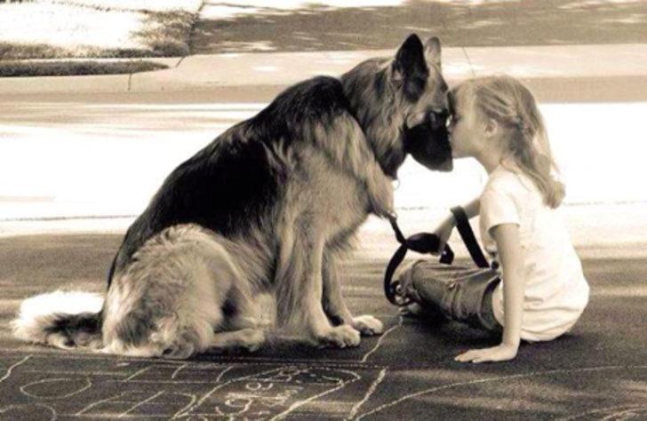 &Ccedil;ocuklar Ve Evcil Dostlar