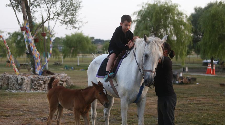 Bursa'da yeni anne olan atın hikayesi: Kısır sanılıyordu, 10 yıl sonra doğum yaptı