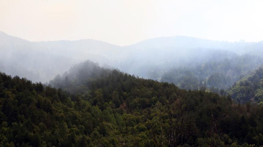 Kastamonu'da çıkan orman yangınına ekiplerin müdahalesi sürüyor