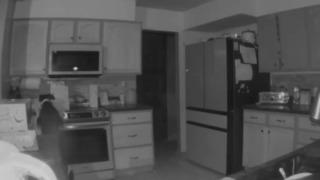 Böylesi anca filmlerde oldu! Bangonun üzerindeki kutuları koklamak isteyen meraklı köpek ocağı yakıp evde yangın çıkardı