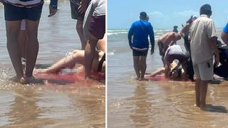 Deniz bir anda kana bulandı! Köpek balığı denizdeki 4 kişiye saldırdı... Kadının baldırından parça koparttı