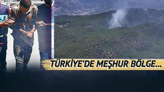 Peş peşe orman yangınlarının arkasından o çıktı! Akıllara zarar itiraf: Gözü dönünce her yeri ateşe vermiş