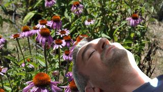 Binlerce arının üzerine yatıp daha dinç kalkıyorlar! Rusya'da yaygındı ülkemizde de popüler hale geldi