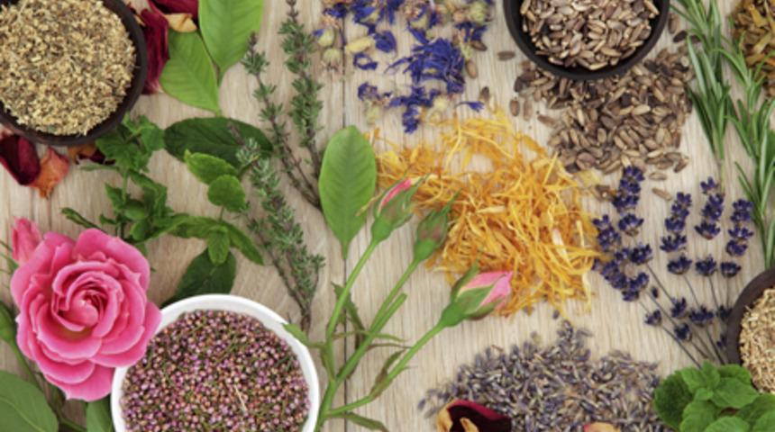 İştah Kesen 14 Bitki