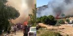 İzmir Foça'da orman yangını! Ekipler seferber oldu