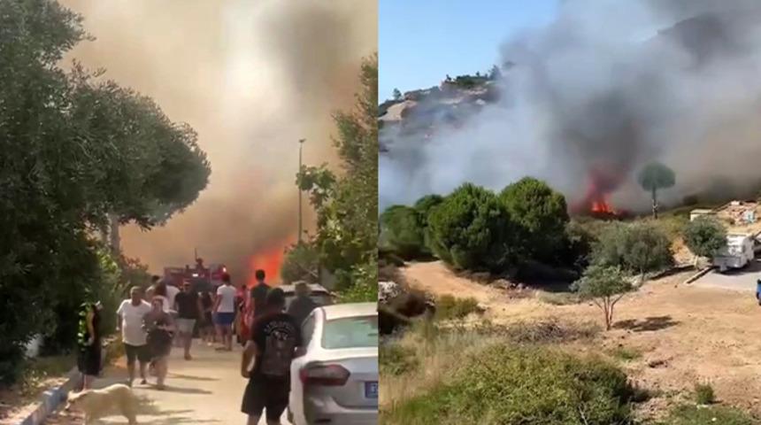 İzmir Foça'da orman yangını! Ekipler seferber oldu