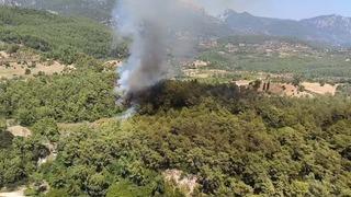 Muğla'da çıkan orman yangını kontrol altına alındı: 2 hektar alan zarar gördü