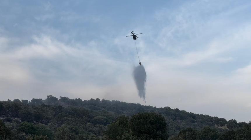 Diyarbakır'ın iki ilçesinde çıkan orman yangınları kontrol altına alındı