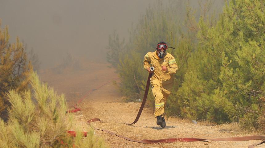 Bodrum'da orman yangını! Vali açıklama yaptı: 2024'ün en ciddi yangınlarından biri