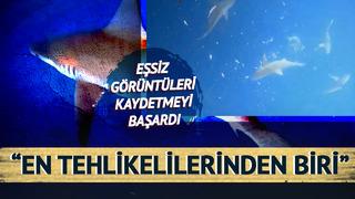 Hatay kıyısında adrenalin ve panik bir arada! Derinliklere dalan dalgıç köpek balığı sürüsüyle burun buruna geldi